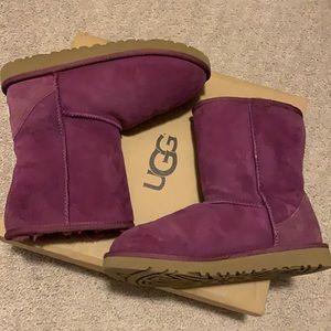 Purple Ugg Boots